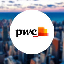 pwc Interview Whitepaper