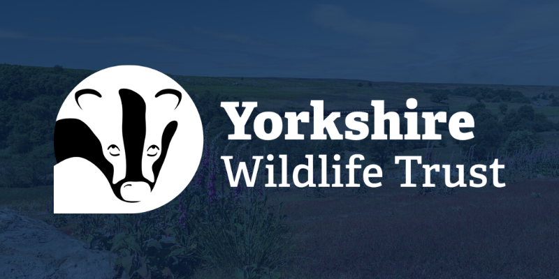 Yorkshire-Wildlife-Trust-case-study-header-DARK