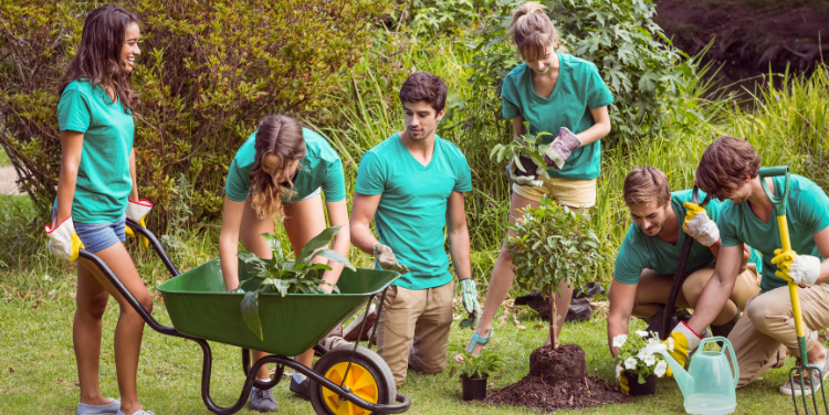 Community Garden