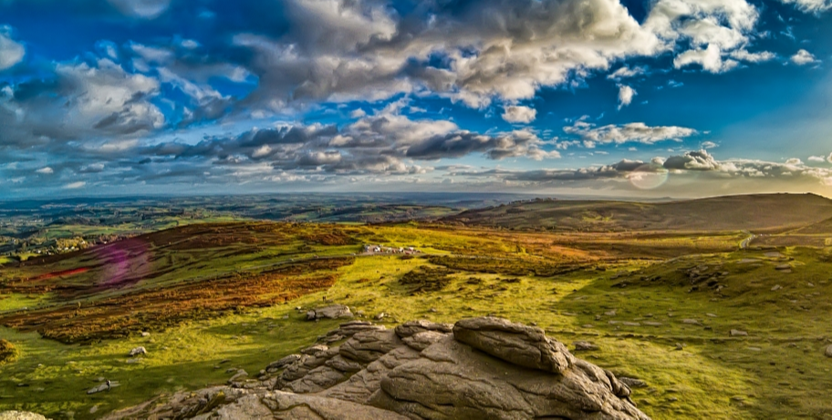 Yorkshire Wildlife Trust Case Study