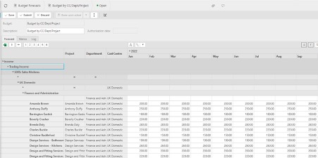 Flexible multi-level budgeting