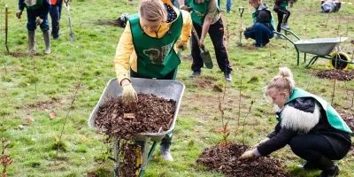 Trees for Cities