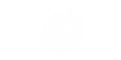 Lullaby Trust White Logo